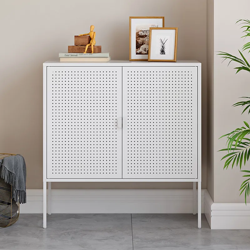 Modern European Style Steel 2 Doors Storage Cabinet