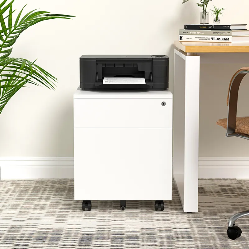 2 Drawer Mobile File Cabinet with Lock for Legal/Letter/A4 File