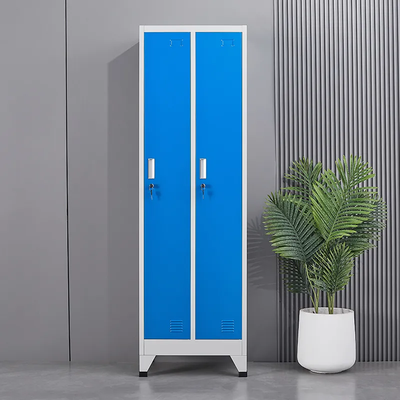 2 doors locker cabinet