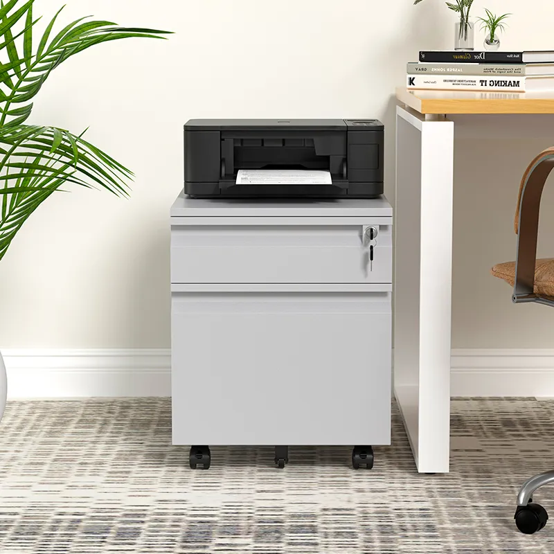 Fully Assembled 2 Drawer File Cabinet, Under Desk for Legal/Letter/A4 File