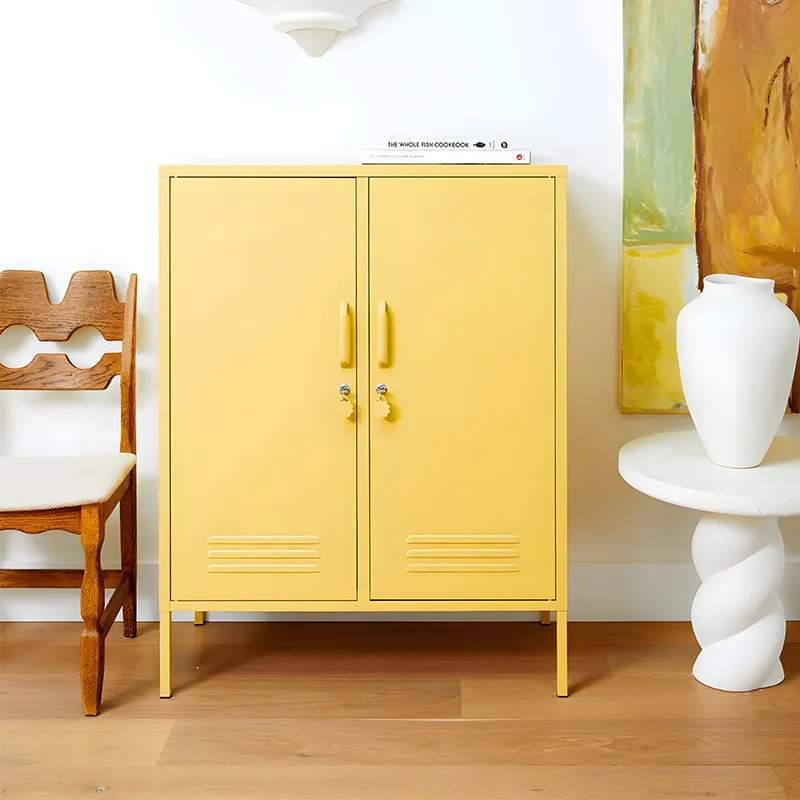 Modern Furniture Living Room 2 Door Metal Cabinets