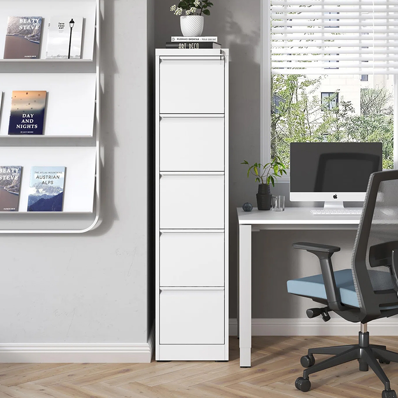 5 Drawer Vertical Metal File Cabinet with Lock