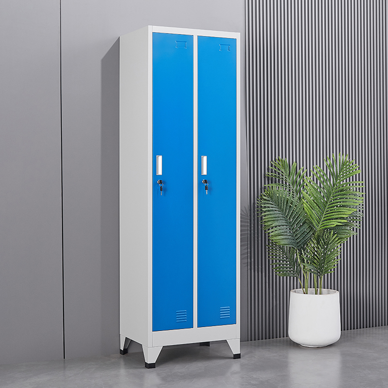 2 doors locker cabinet