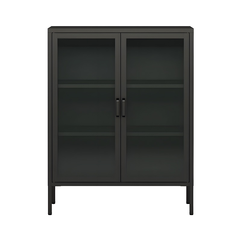 2 glass doors cupboard filing cabinet