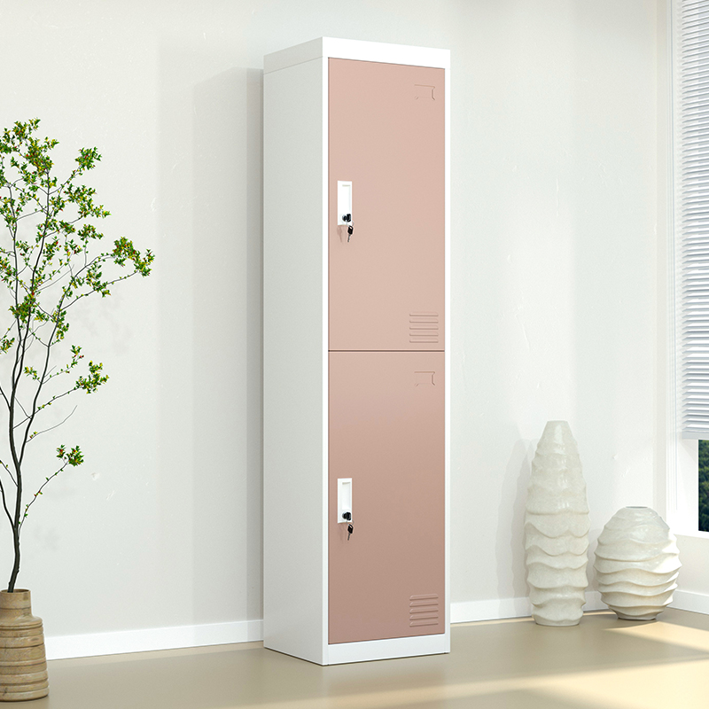 Two Door Locker