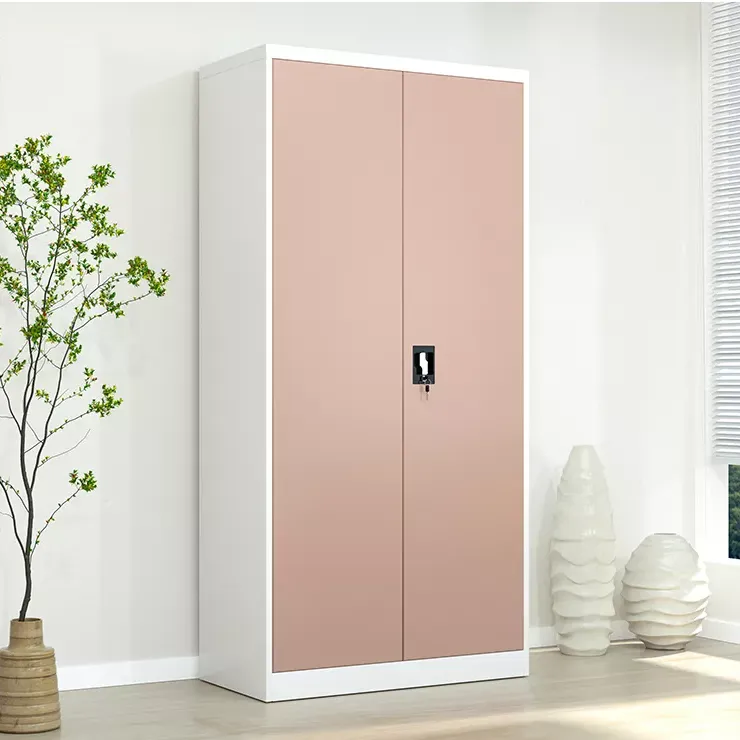 Two Door Locker