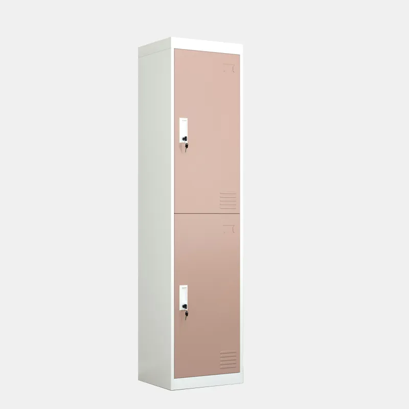 Single 2 Door Locker